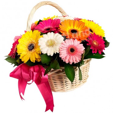 25 гербер микс в корзине