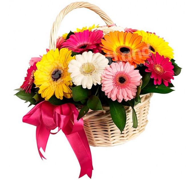 25 гербер микс в корзине