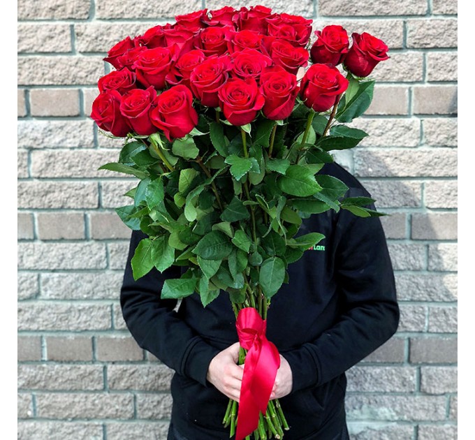 25 красных голландских роз Freedom