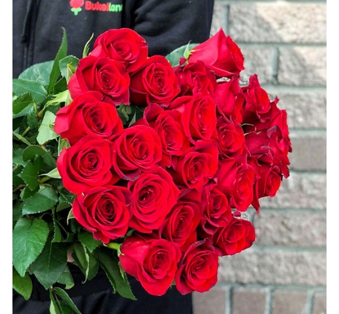 25 красных голландских роз Freedom