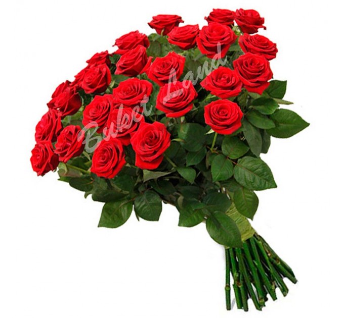 25 красных роз Гран При 60 см