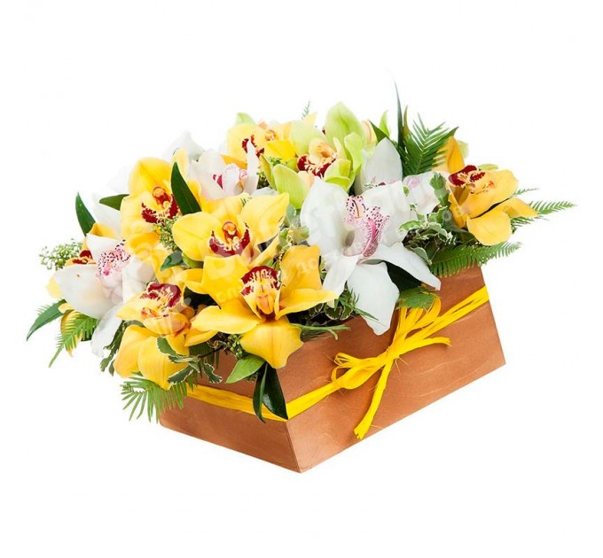 25 орхидей микс в коробке