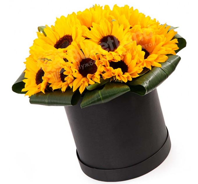 25 подсолнухов в шляпной коробке