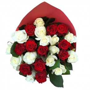 25 роз микс красно-белые 50 см Эль Торо и Белуга