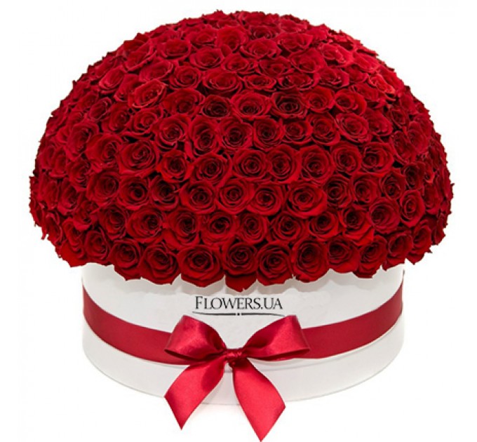Цветы в белой коробке "151 красная роза"