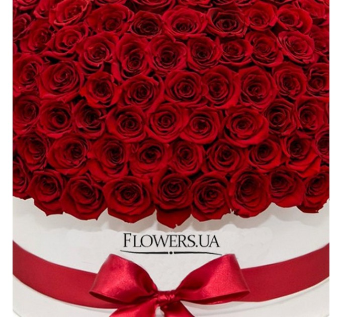 Цветы в белой коробке "151 красная роза"