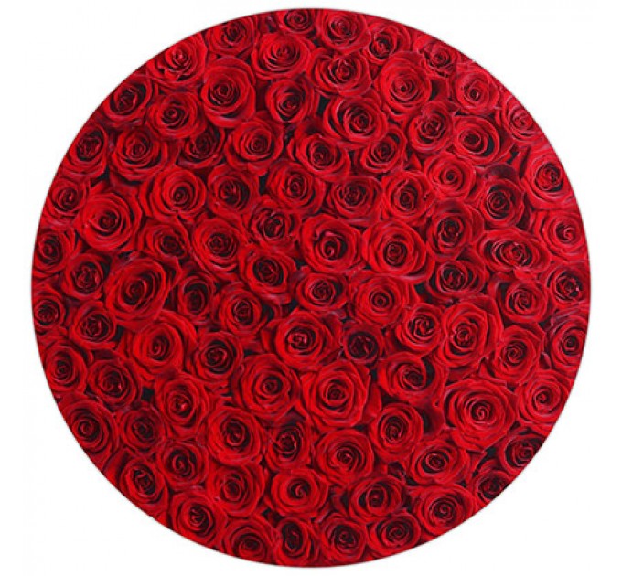 Цветы в белой коробке "151 красная роза"