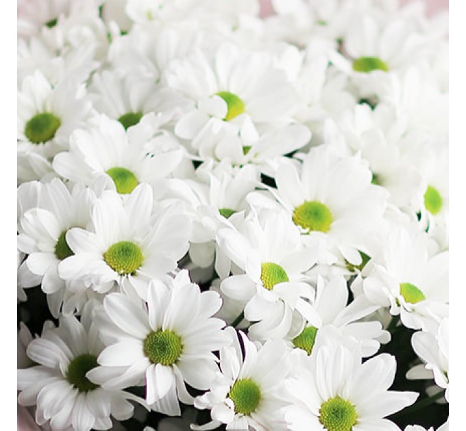 Букет "Мастер и Маргарита"