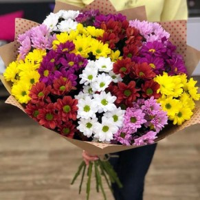 15 різнокольорових хризантем
