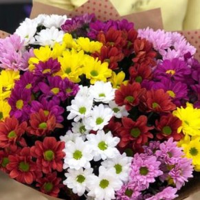 15 різнокольорових хризантем 15 різнокольорових хризантем