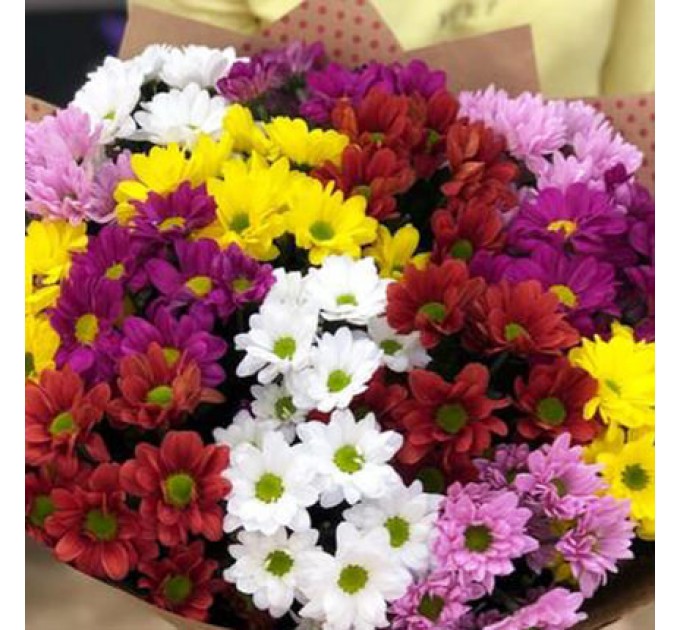 Отличное предложение: 15 разноцветных хризантем с доставкой по Киеву!