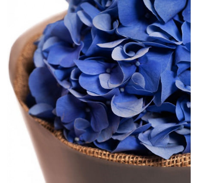 Нежный букет "Праздничный день!"