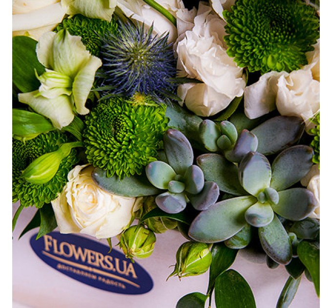 Композиция в кашпо "Счастье!"