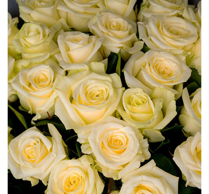 Букет "25 белых роз"