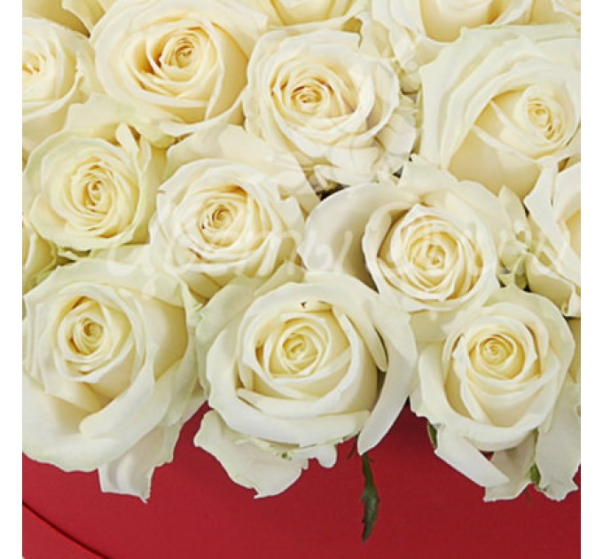 Композиция в коробке "51 белая роза"