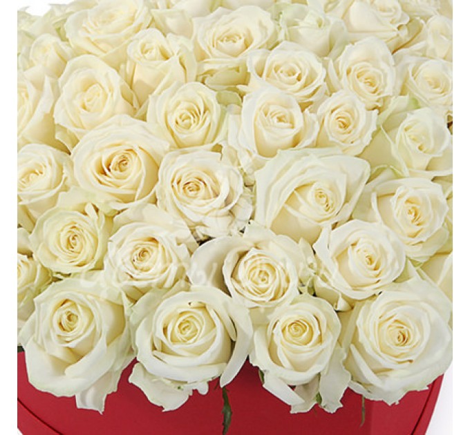 Композиция в коробке "51 белая роза"