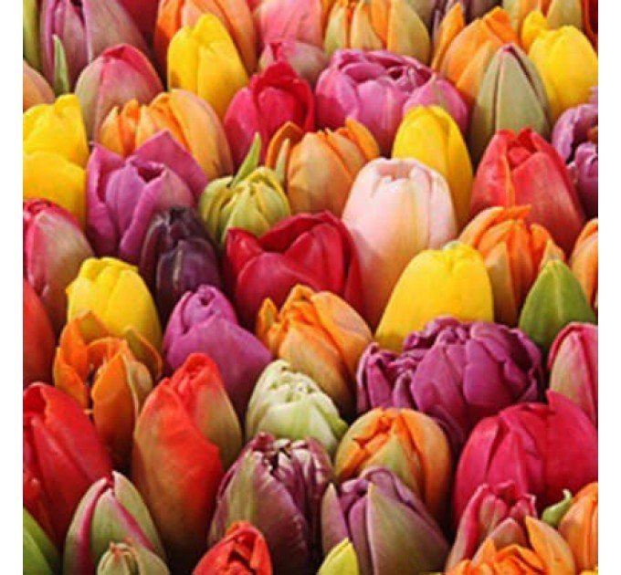 Композиция в коробке "Амур"