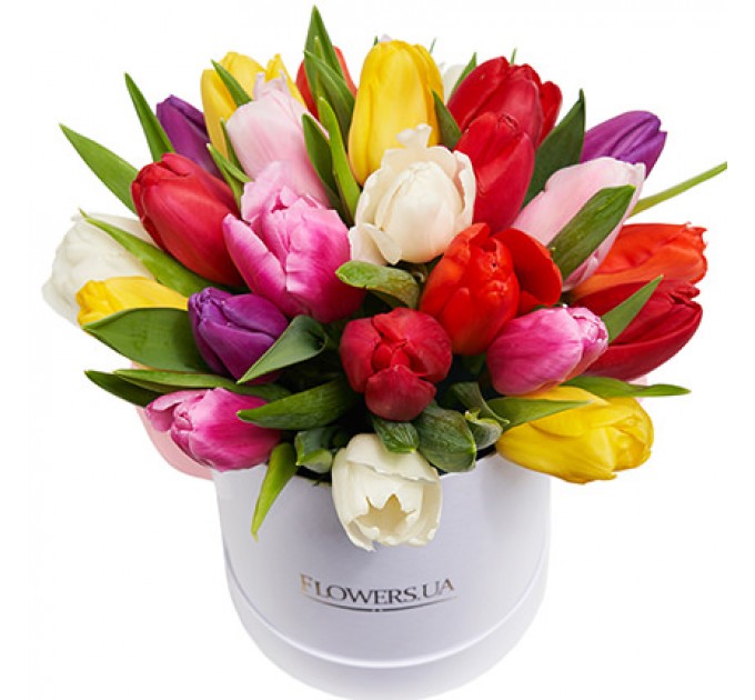 Цветы в коробке "25 разноцветных тюльпанов"
