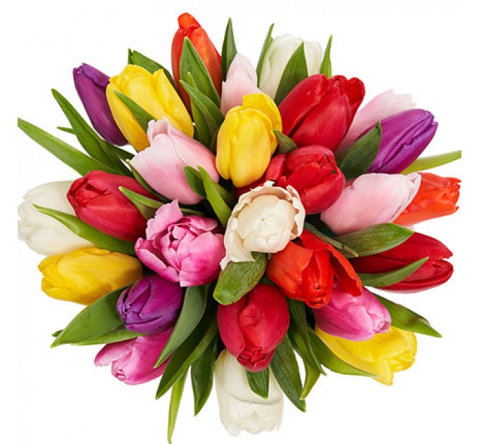 Цветы в коробке "25 разноцветных тюльпанов"