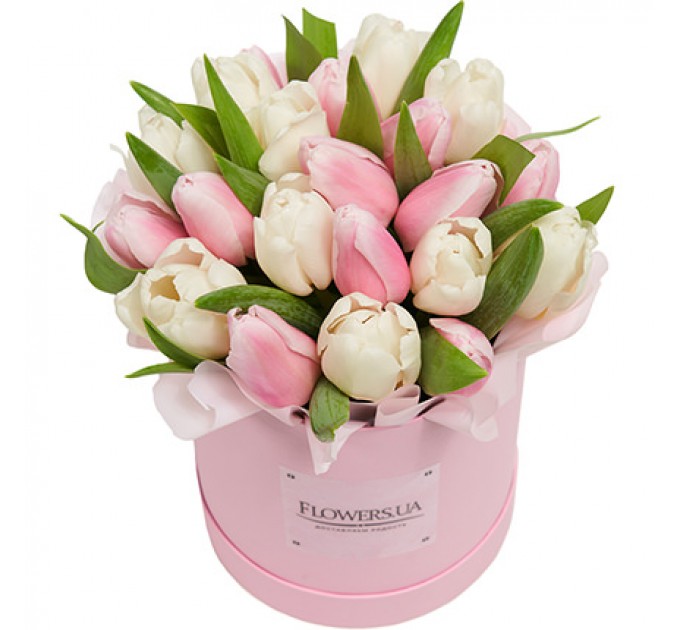 Цветы в коробке "25 белых и розовых тюльпанов"
