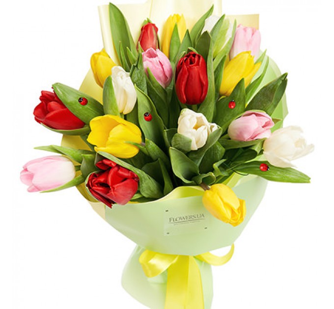 Букет "17 разноцветных тюльпанов"