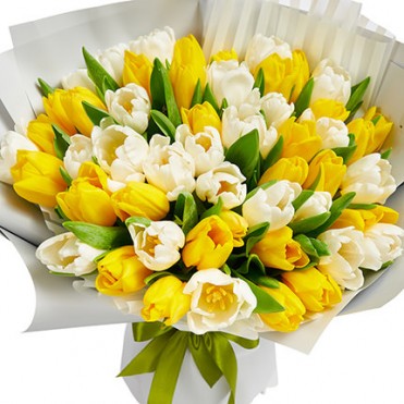 51 белый и желтый тюльпан