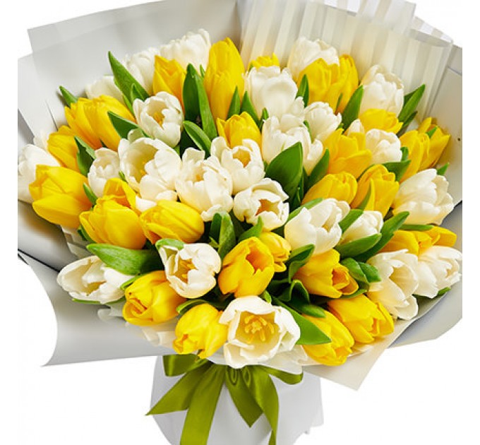 51 белый и желтый тюльпан