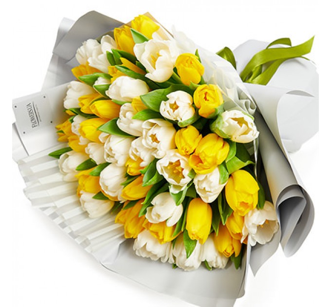 51 белый и желтый тюльпан