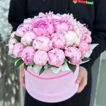 29 пионов в шляпной коробке