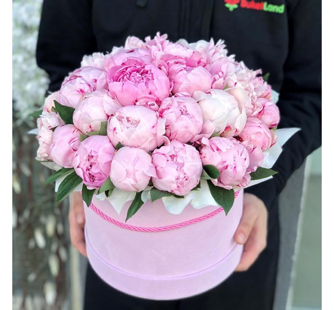 29 пионов в шляпной коробке