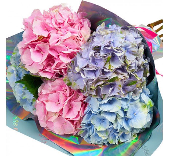 Букет "5 летних гортензий"