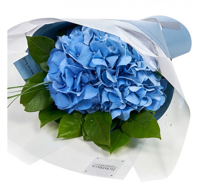 Букет "Омут твоих глаз!"