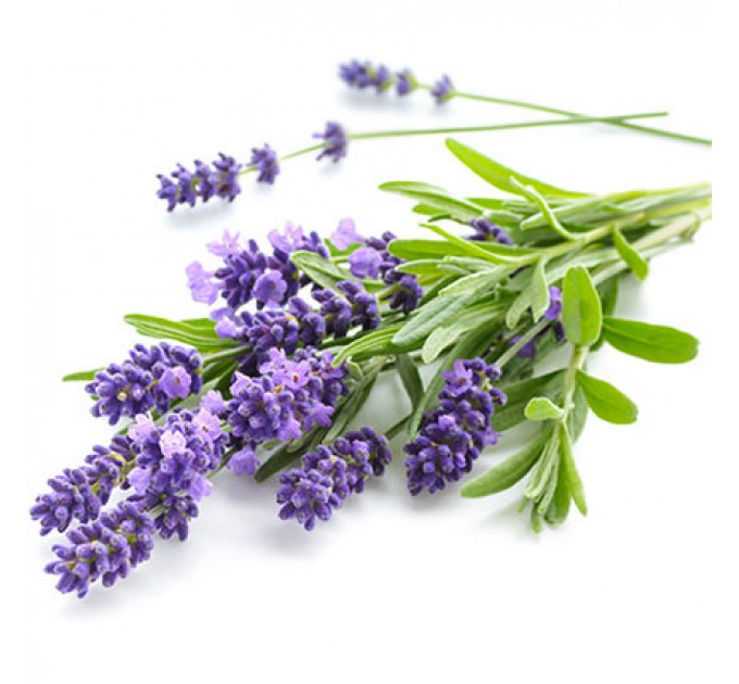 Аромадиффузор "Лаванда"