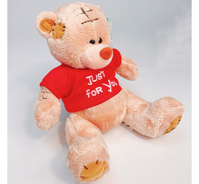 Мягкая игрушка "Мишка Тедди" (мальчик)