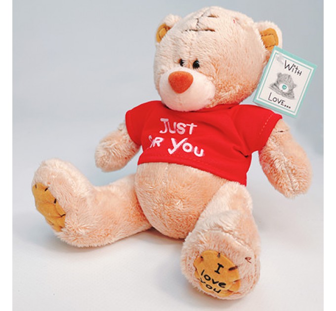 Мягкая игрушка "Мишка Тедди" (мальчик)