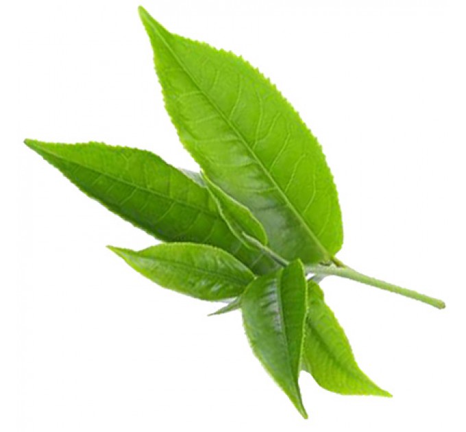 Свеча трехслойная "Зелёный чай"