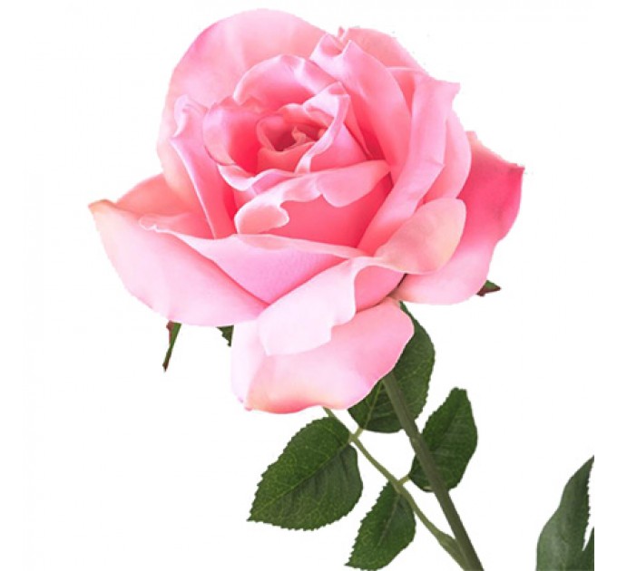 Аромадиффузор "Роза"