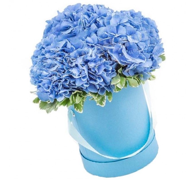 3 голубых гортензии в шляпной коробке