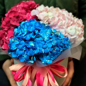 3 гортензії мікс у капелюшній коробці 3 гортензії мікс у капелюшній коробці