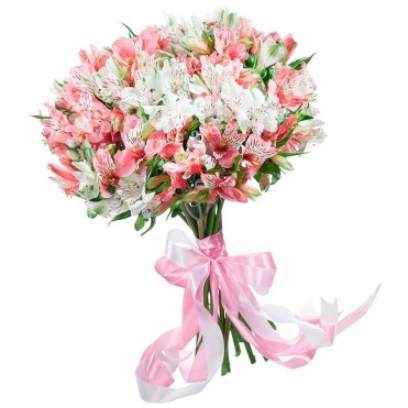 31 альстромерия микс