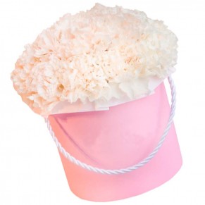 31 бежева гвоздика в асортименті