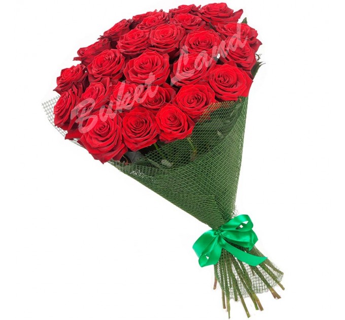 31 красная роза Гран При 60 см