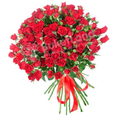 31 червона троянда спрей