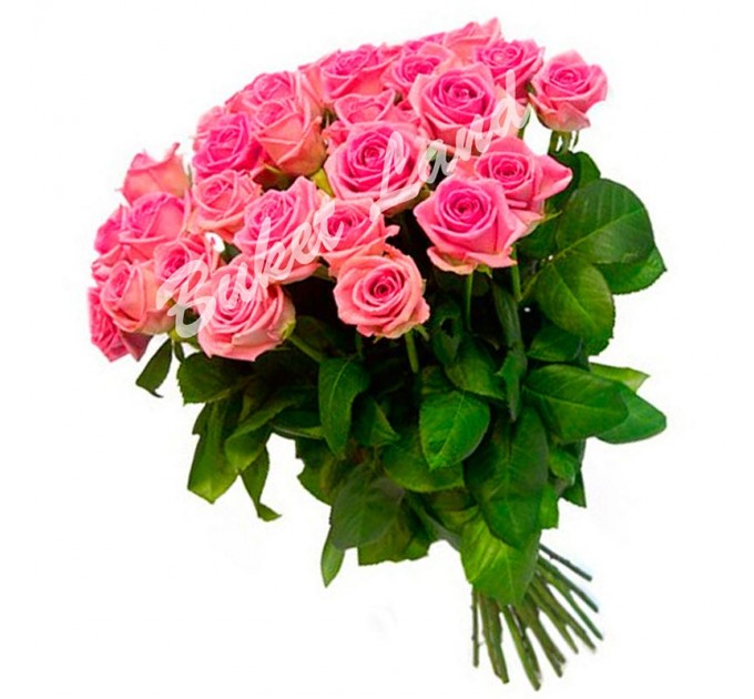 31 розовая роза Аква 60 см