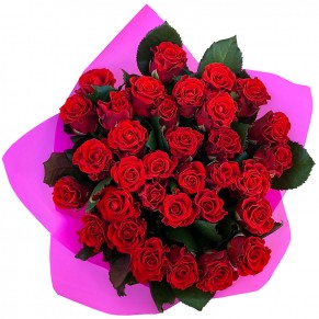 33 красных роз 50 см Эль Торо