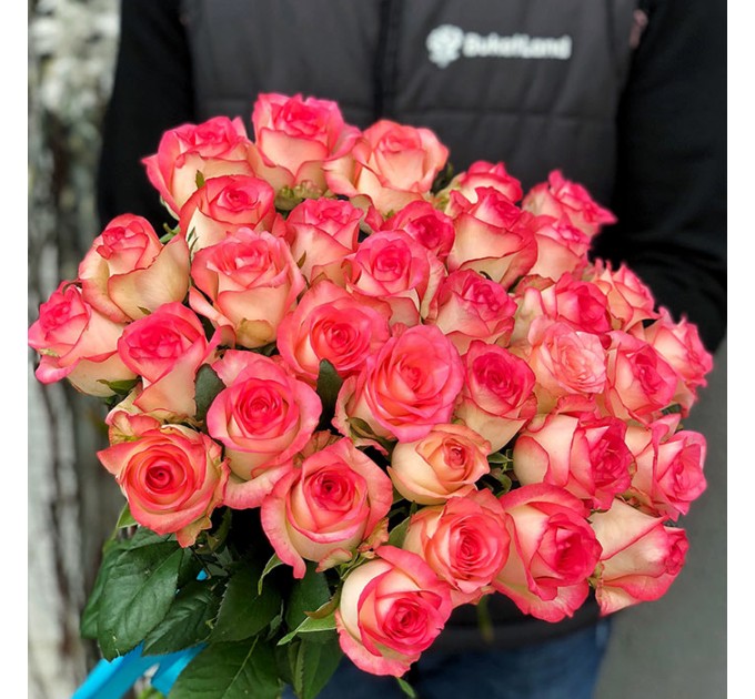 33 розы Джумилия