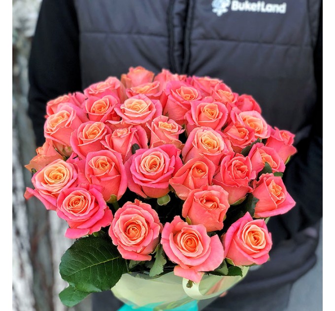 33 розы Мисс Пигги