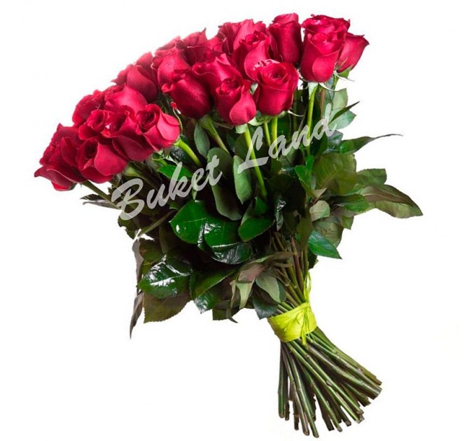 35 голландских красных роз 80 см