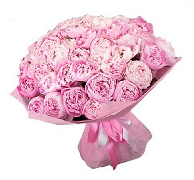 39 розовых пионов