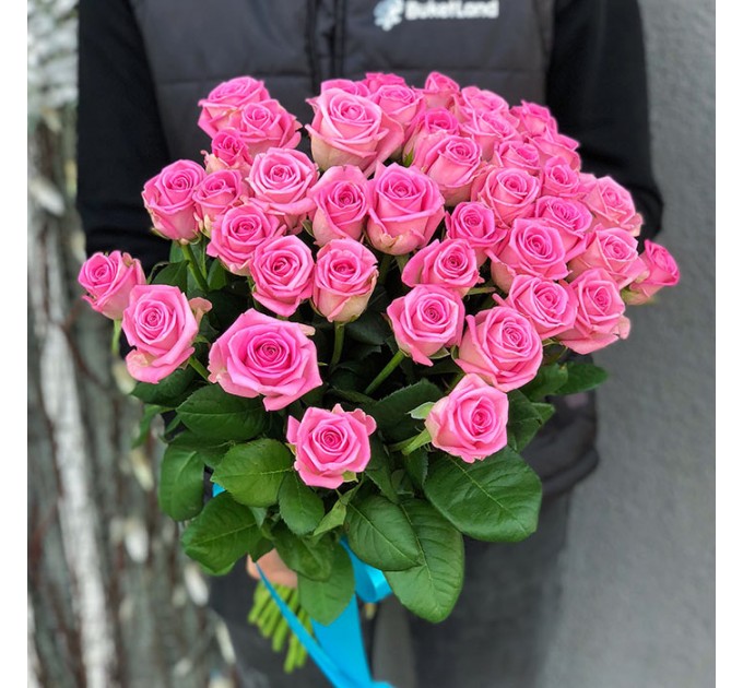 41 роза Аква